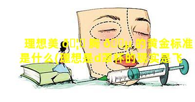 理想美 🦊 胸 🐵 的黄金标准是什么(理想是d罩杯的现实是飞机场)